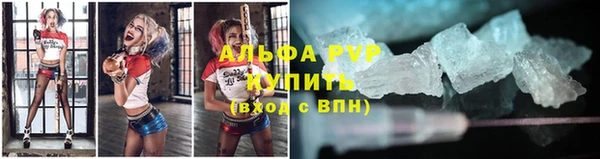 стафф Волоколамск