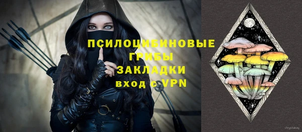 стафф Волоколамск