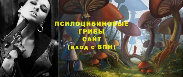 стафф Волоколамск